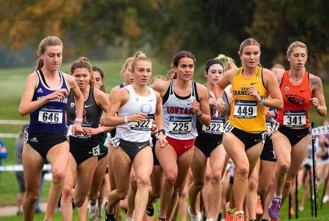 Garcia XC